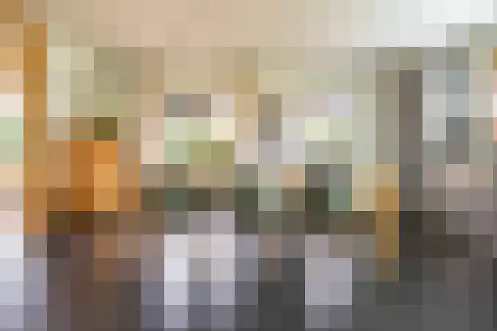 Aalscholver 20 Groningen thumbnail 17