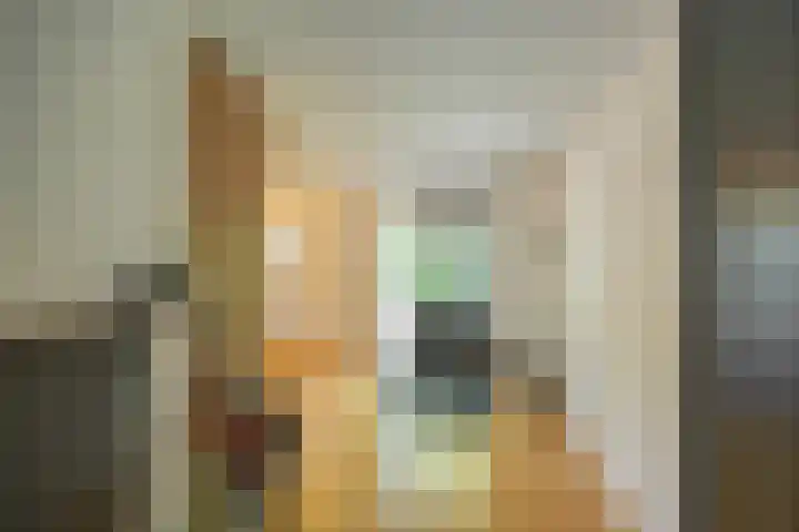 Aalscholver 20 Groningen thumbnail 22