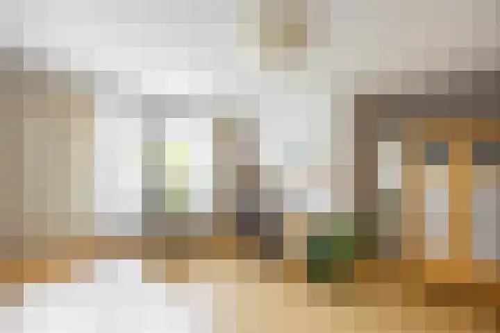 Aalscholver 20 Groningen thumbnail 30