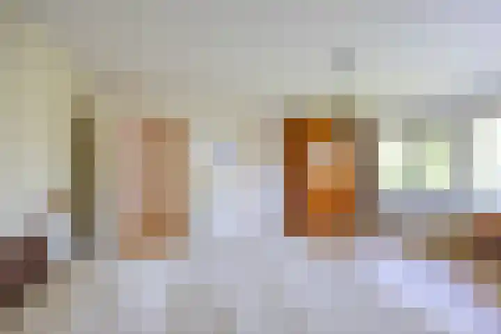 Aalscholver 20 Groningen thumbnail 31