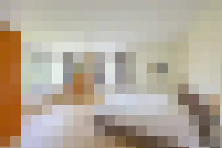 Aalscholver 20 Groningen thumbnail 32
