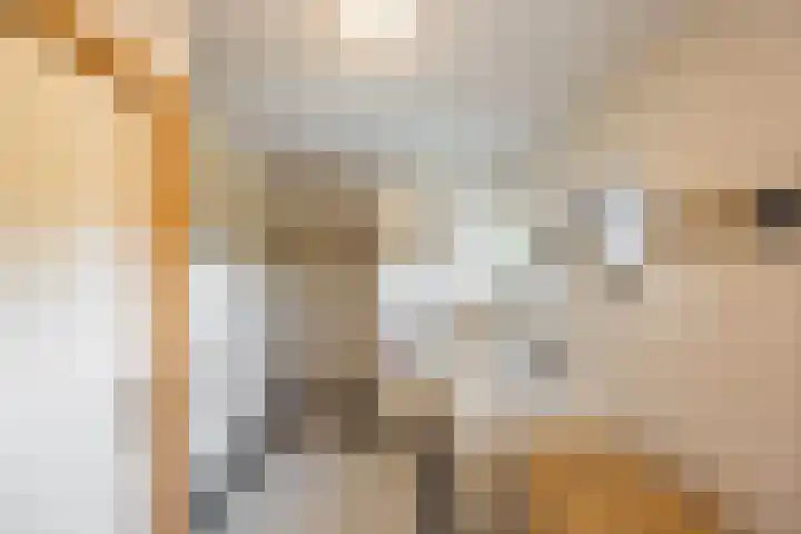 Aalscholver 20 Groningen thumbnail 38