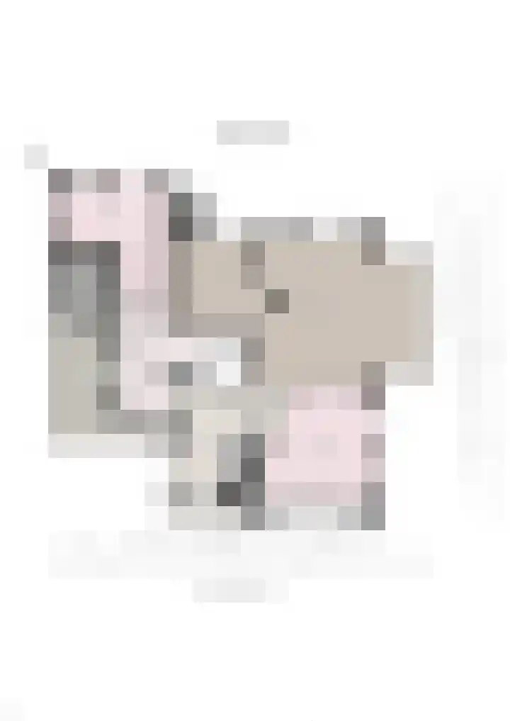 Aalscholver 20 Groningen thumbnail 4
