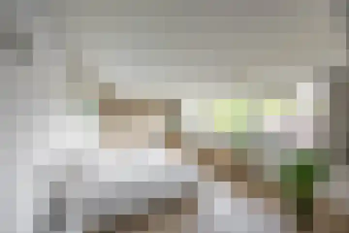 Aalscholver 20 Groningen thumbnail 41