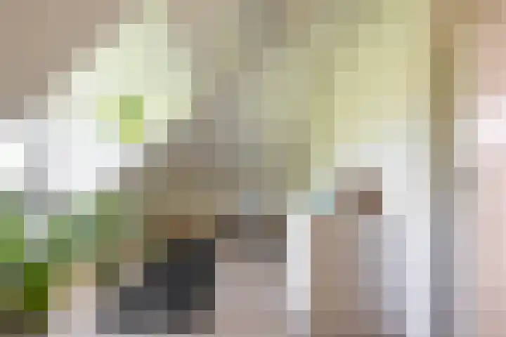 Aalscholver 20 Groningen thumbnail 43