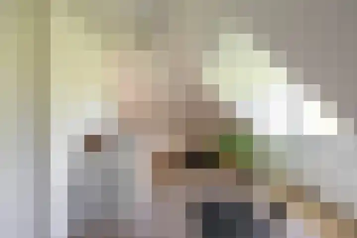 Aalscholver 20 Groningen thumbnail 44