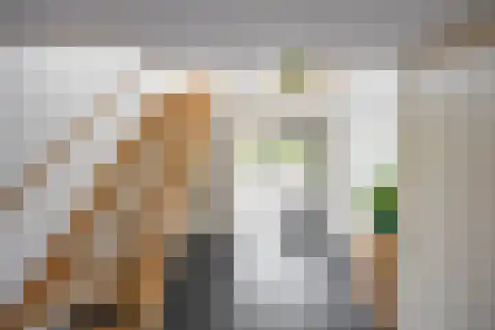 Aalscholver 20 Groningen thumbnail 5