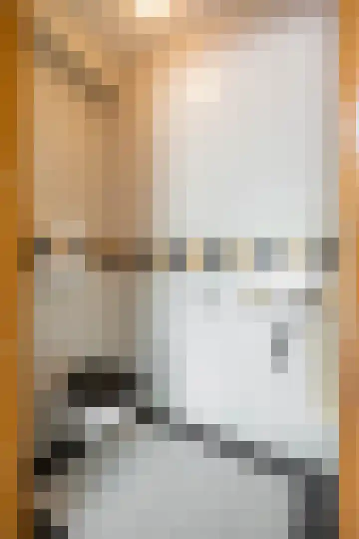 Aalscholver 20 Groningen thumbnail 6