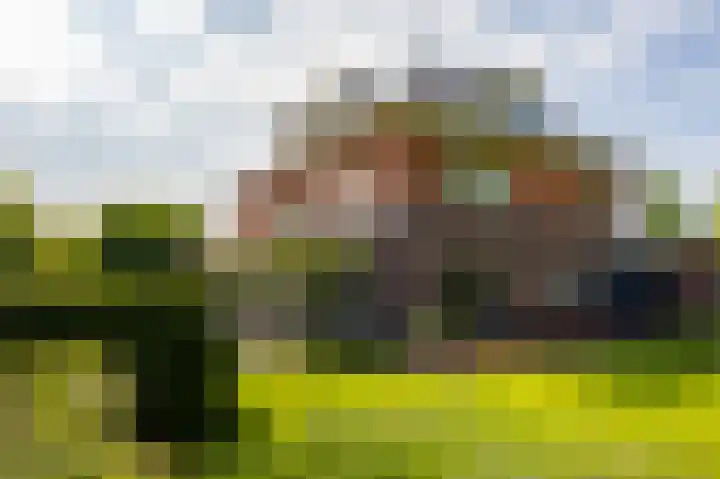 Aalscholver 20 Groningen thumbnail 60