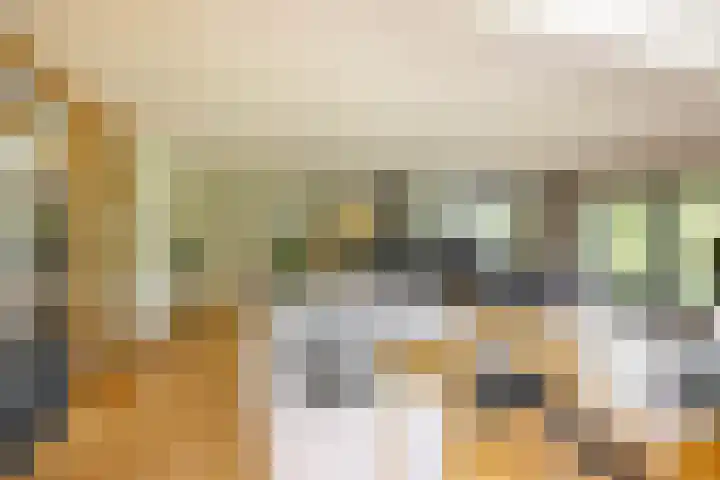 Aalscholver 20 Groningen thumbnail 8