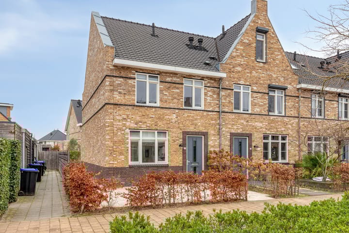 Aalscholver 24 in Hendrik-Ido-Ambacht Foto