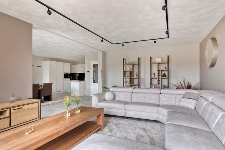 Aalscholver 24 in Etten-Leur Foto