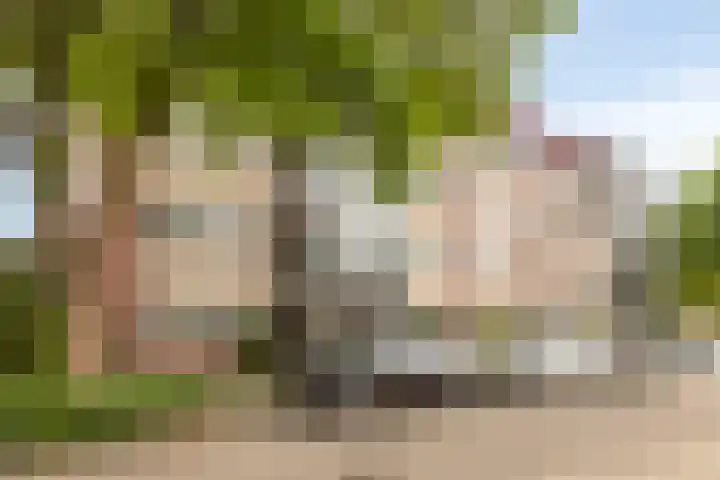Aalscholver 24 Etten-Leur thumbnail 10