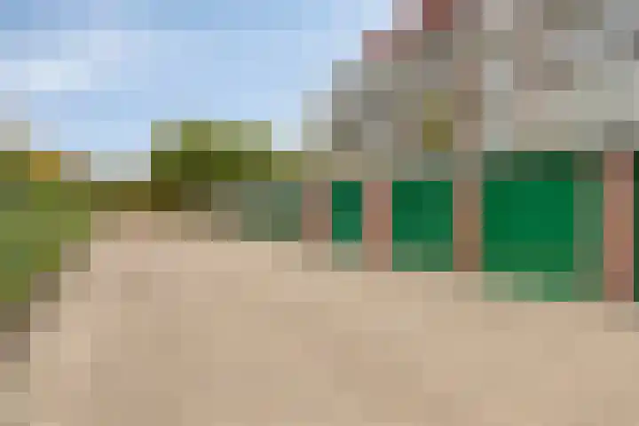 Aalscholver 24 Etten-Leur thumbnail 11