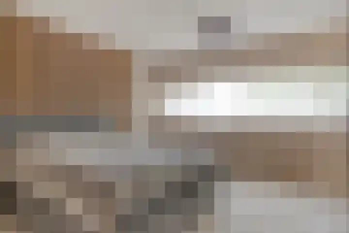 Aalscholver 24 Etten-Leur thumbnail 17