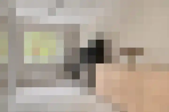 Aalscholver 24 Etten-Leur thumbnail 23