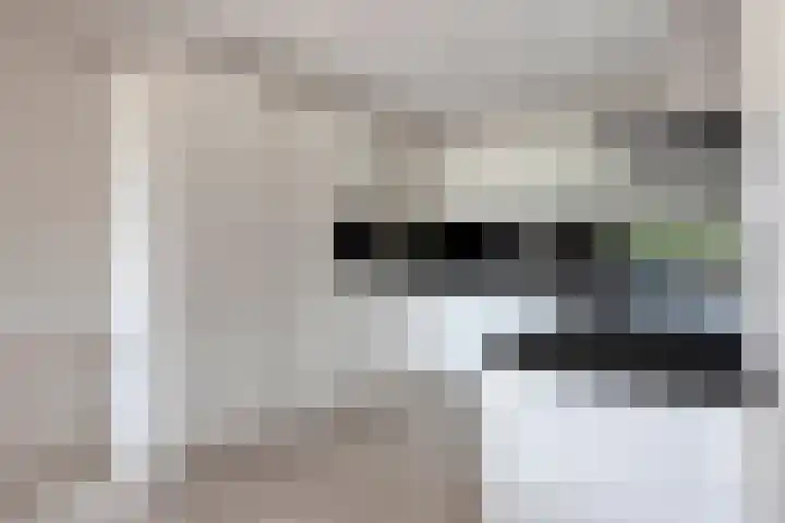 Aalscholver 24 Etten-Leur thumbnail 33