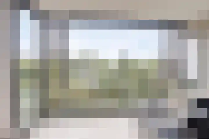 Aalscholver 24 Etten-Leur thumbnail 37