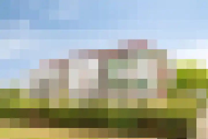 Aalscholver 24 Etten-Leur thumbnail 6
