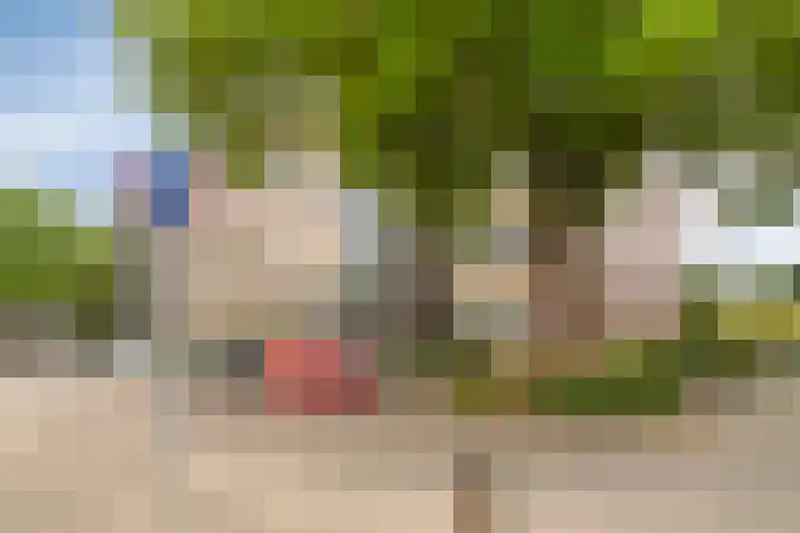 Aalscholver 24 Etten-Leur thumbnail 7