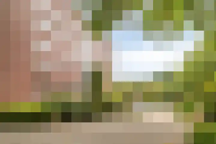Aalscholver 24 Etten-Leur thumbnail 8