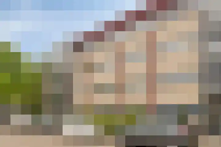 Aalscholver 24 Etten-Leur thumbnail 9