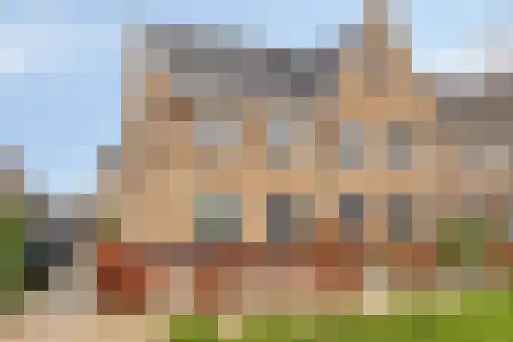 Aalscholver 24 Hendrik-Ido-Ambacht