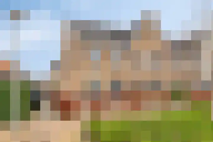 Aalscholver 24 Hendrik-Ido-Ambacht thumbnail 27