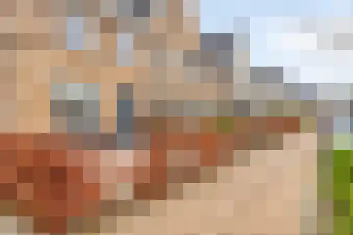 Aalscholver 24 Hendrik-Ido-Ambacht thumbnail 4