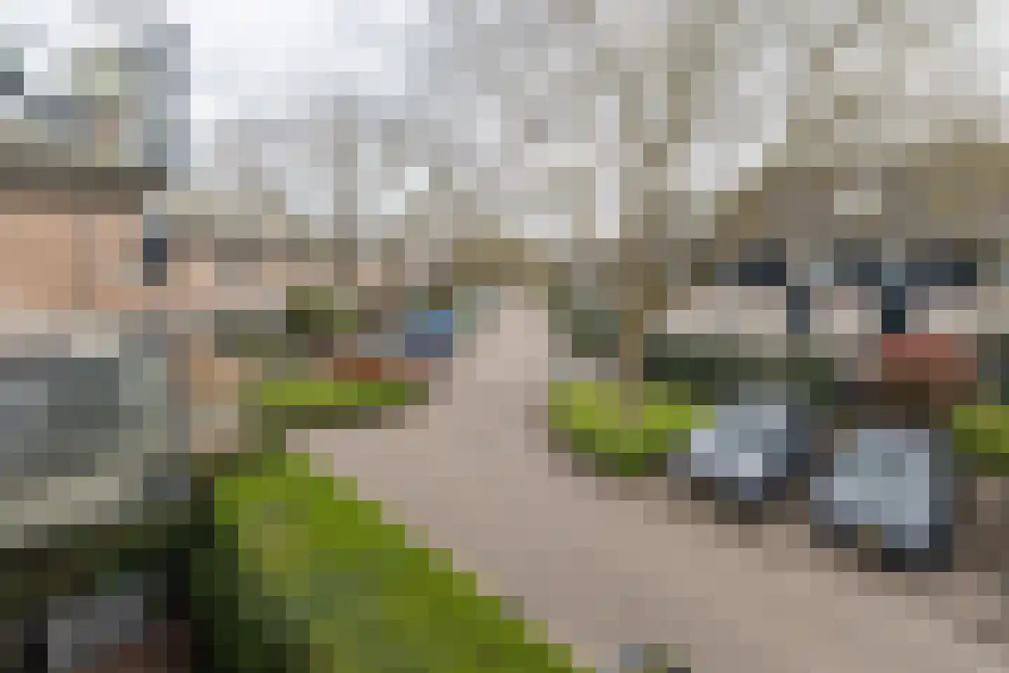 Aalscholver 27 Driebergen-Rijsenburg thumbnail 17