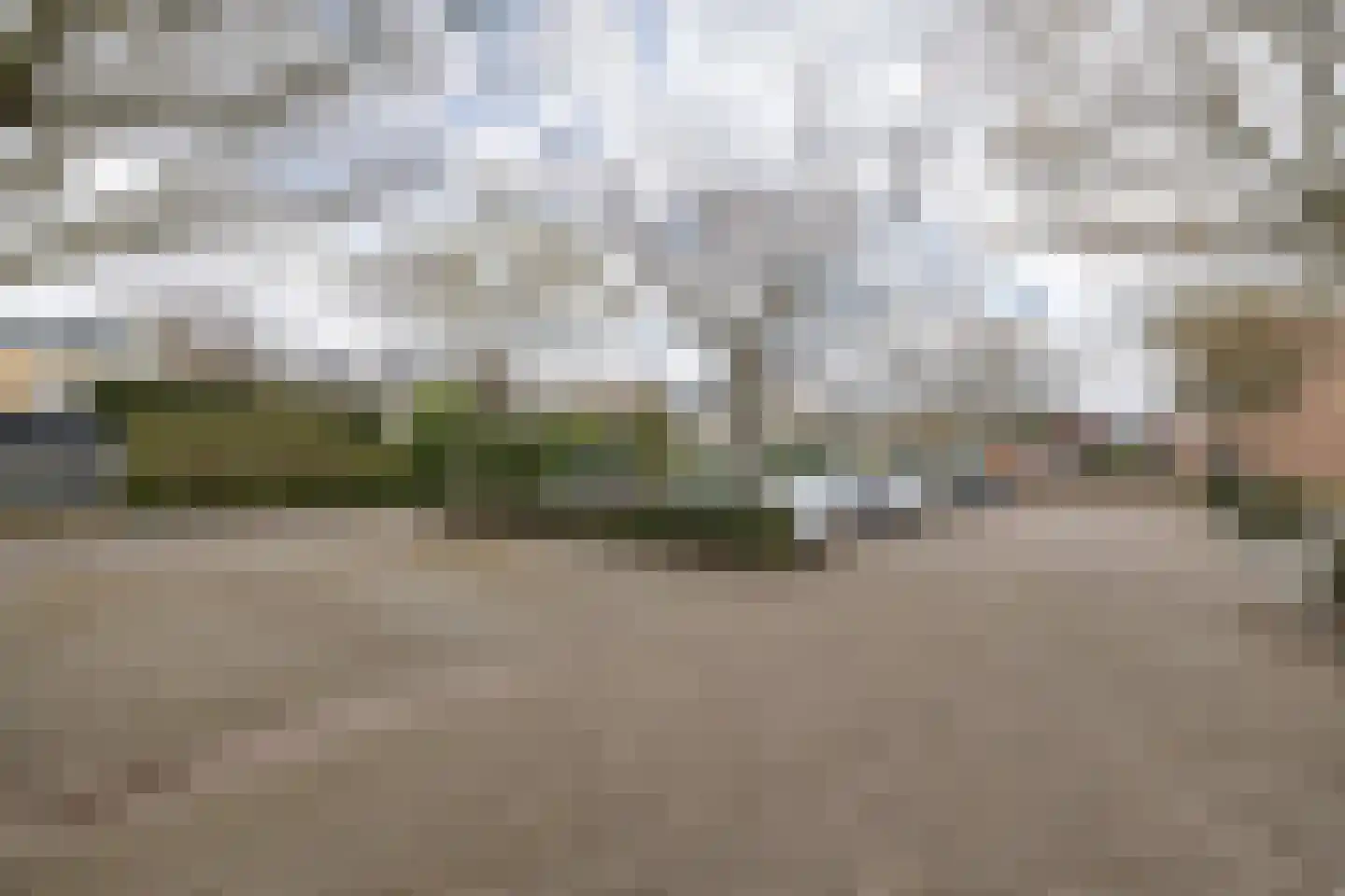 Aalscholver 27 Driebergen-Rijsenburg thumbnail 38