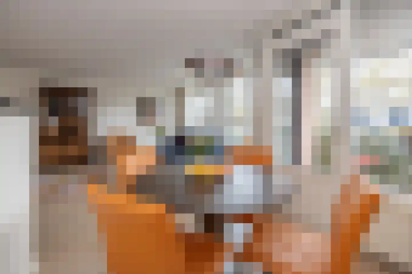 Aalscholver 27 Driebergen-Rijsenburg thumbnail 7