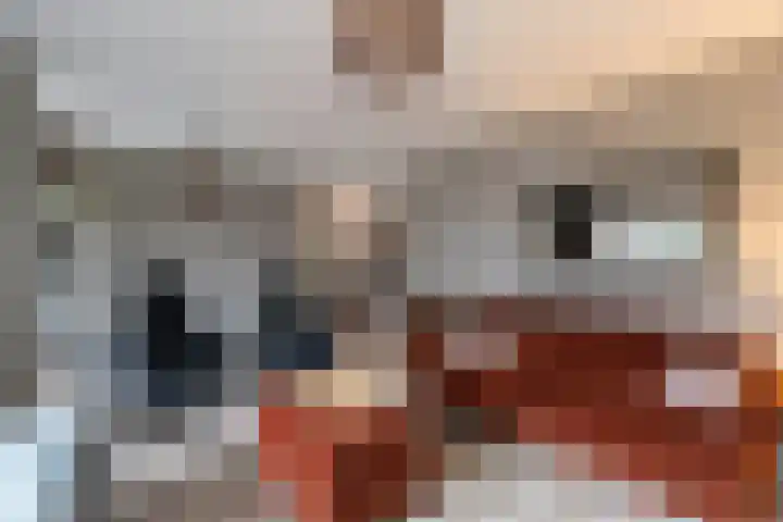 Aalscholver 27 Papendrecht thumbnail 10