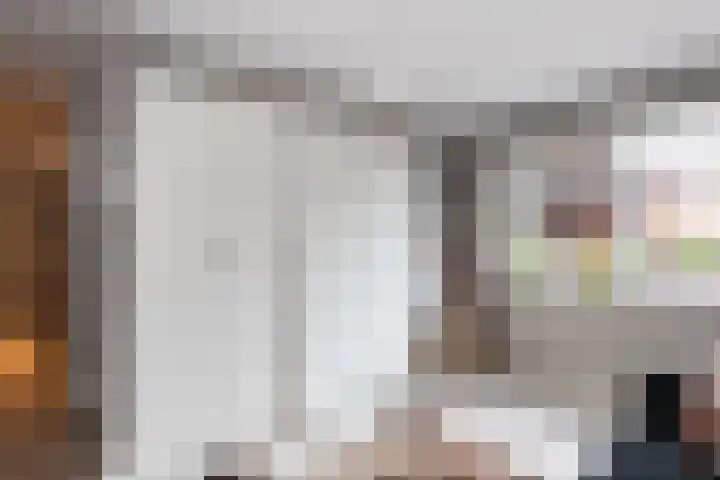 Aalscholver 27 Papendrecht thumbnail 16