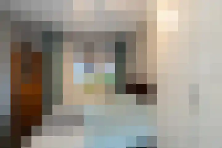Aalscholver 27 Papendrecht thumbnail 17