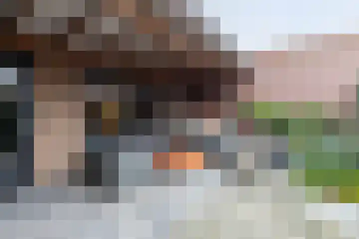 Aalscholver 27 Papendrecht thumbnail 19
