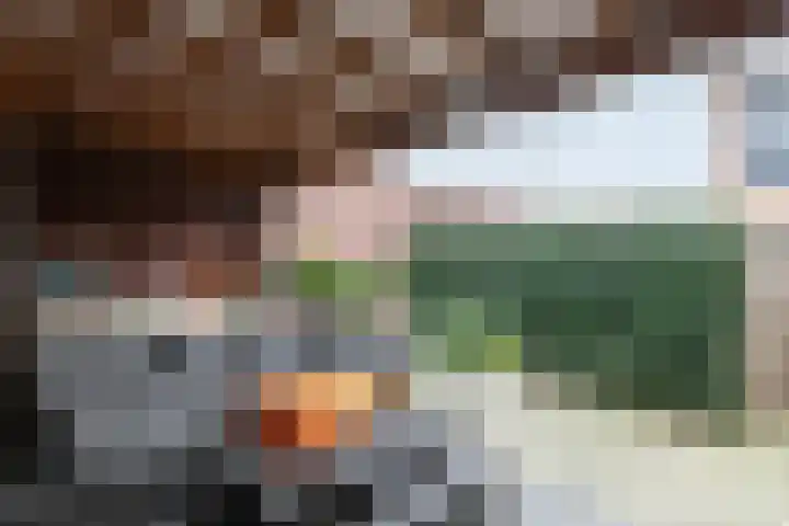 Aalscholver 27 Papendrecht thumbnail 4