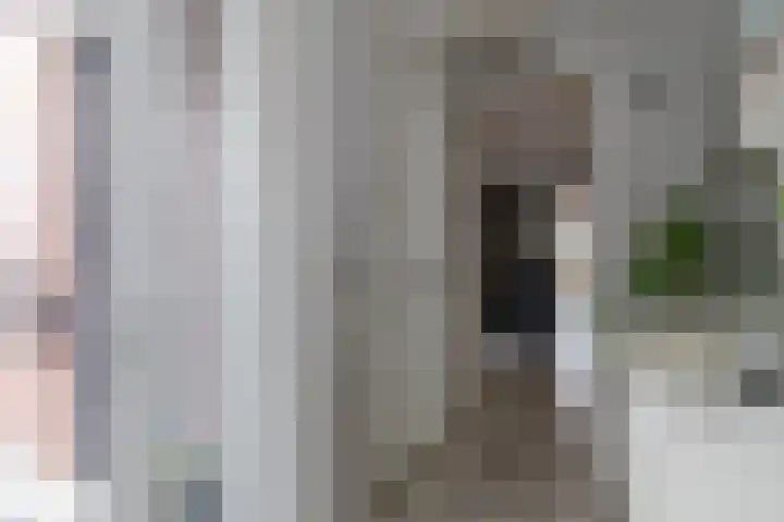 Aalscholver 27 Papendrecht thumbnail 7
