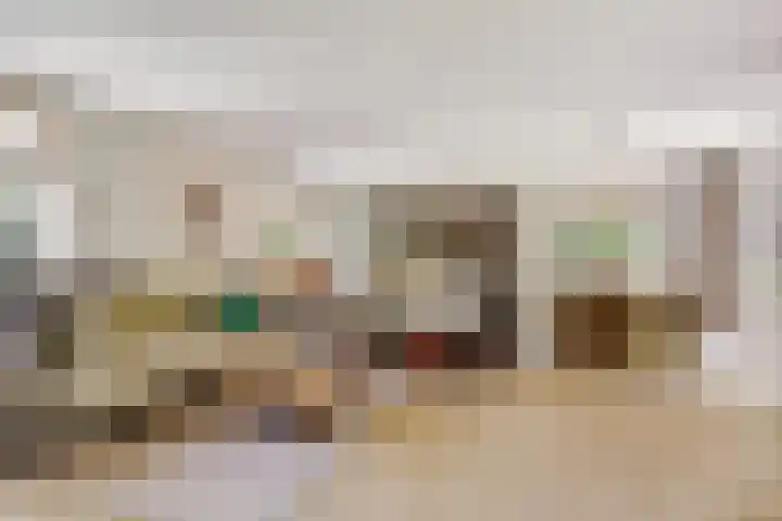 Aalscholver 3 Broek op Langedijk thumbnail 11