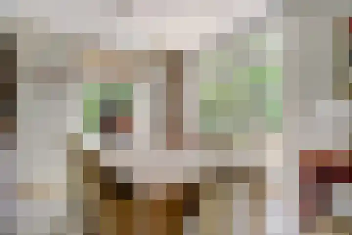 Aalscholver 3 Broek op Langedijk thumbnail 14