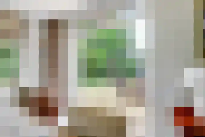 Aalscholver 3 Broek op Langedijk thumbnail 16