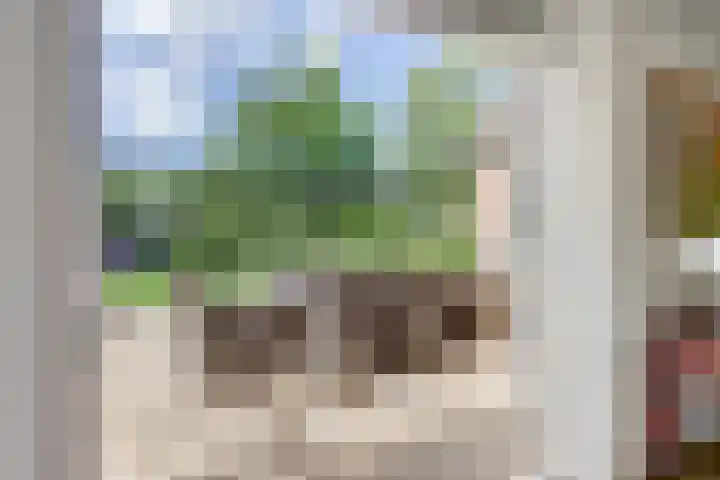 Aalscholver 3 Broek op Langedijk thumbnail 17