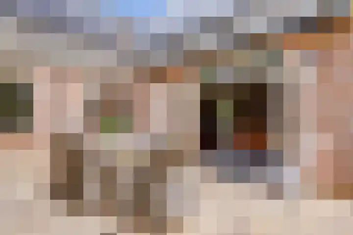 Aalscholver 3 Broek op Langedijk thumbnail 18