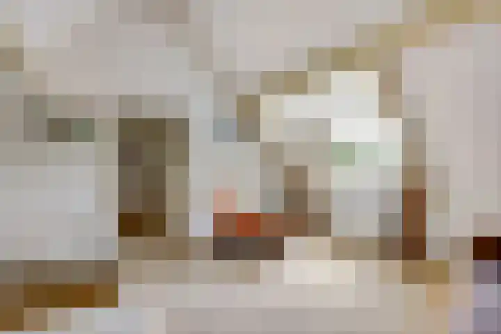 Aalscholver 3 Broek op Langedijk thumbnail 33