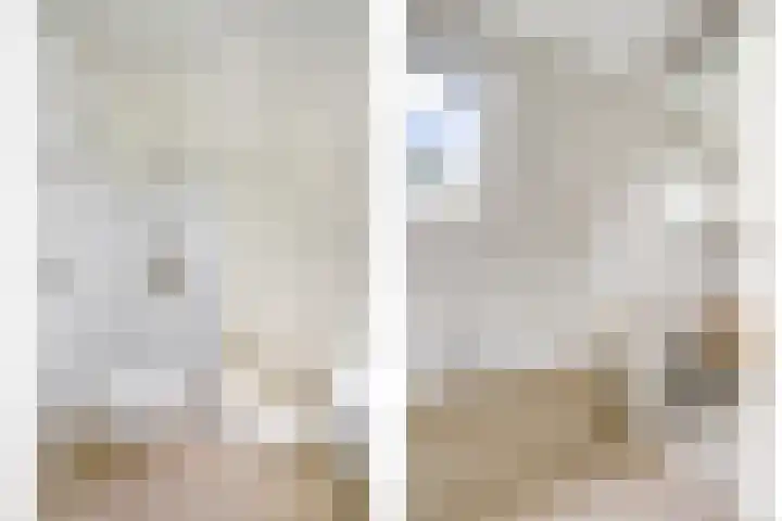 Aalscholver 3 Broek op Langedijk thumbnail 37