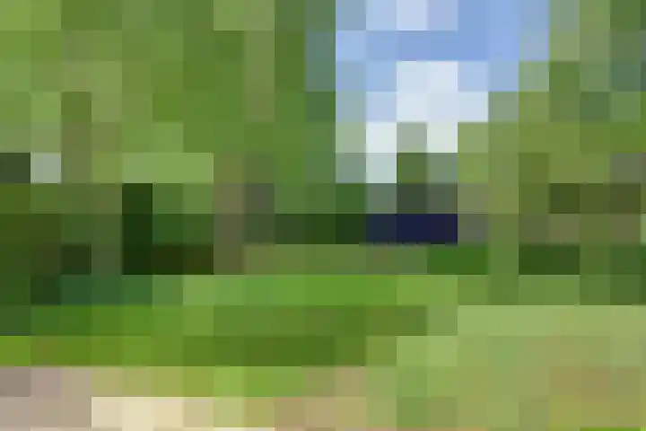 Aalscholver 3 Broek op Langedijk thumbnail 52