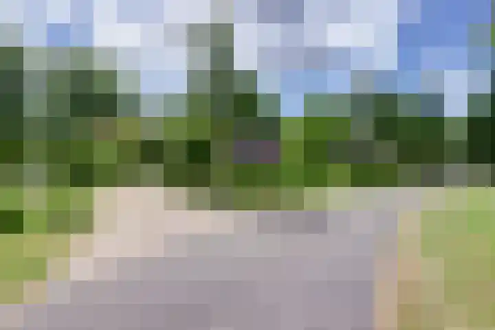 Aalscholver 3 Broek op Langedijk thumbnail 59