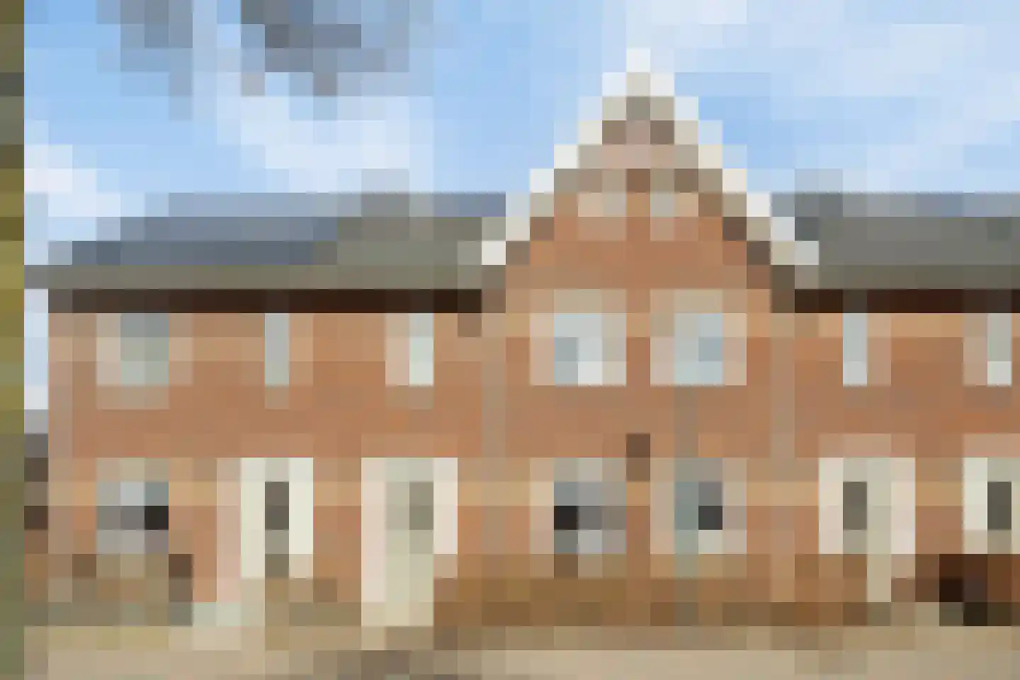 Aalscholver 3 Veenendaal