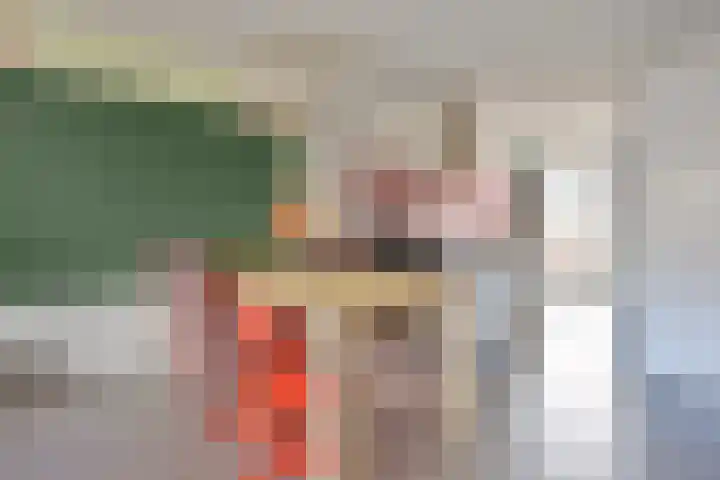 Aalscholver 3 Veenendaal thumbnail 12