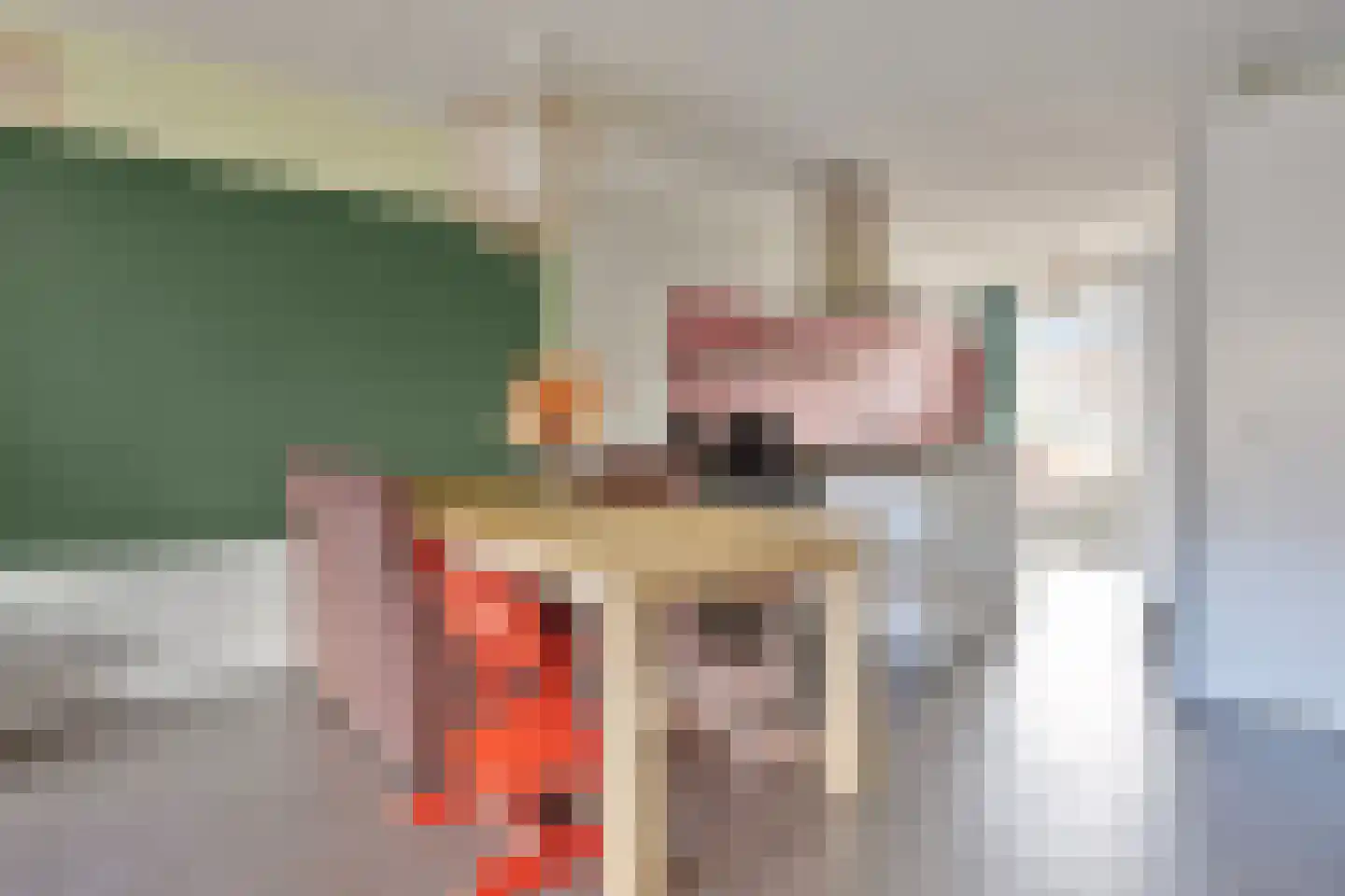Aalscholver 3 Veenendaal thumbnail 12